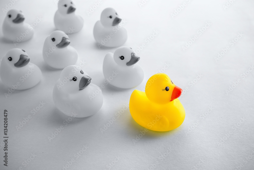 Leadership concept with yellow rubber ducks leading among white. Leadership concept with yellow rubber ducks leading among white.