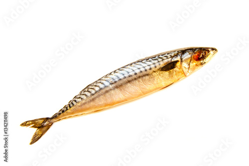 Fresh fish mackerel on a white background, isolated.