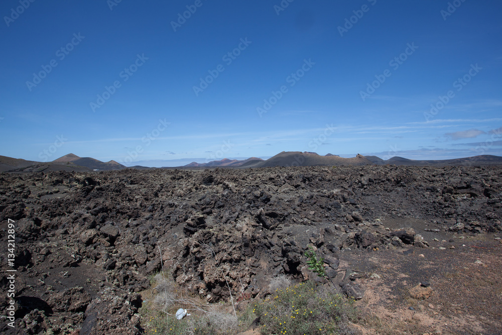 Lava landscape on Lanzarote