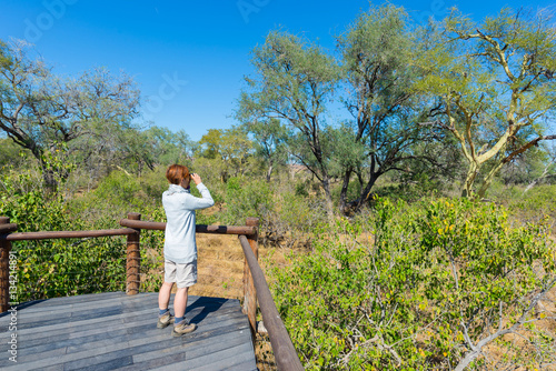 Tourist looking at panorama with binocular from viewpoint over the Olifants river, scenic and colorful landscape with wildlife in the Kruger National Park, famous travel destination in South Africa. © fabio lamanna