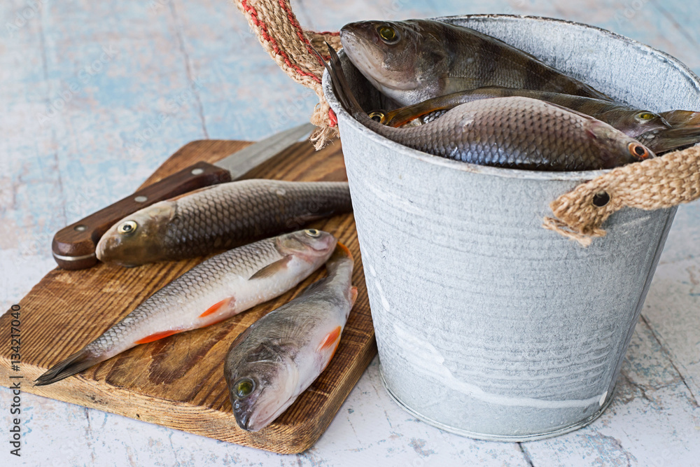 River fish,. Small river fish, perch and roach, on the cutting board and in metal  bucket on a light wooden table. Stock Photo