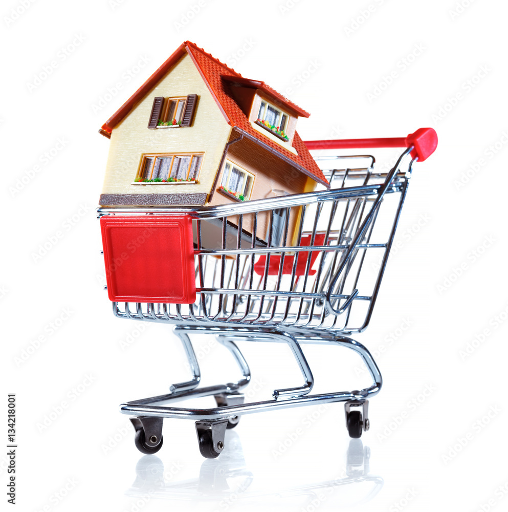 Shopping cart and house Shopping cart and house