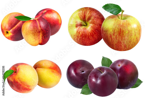plums, apples, peaches, nectarines on a white