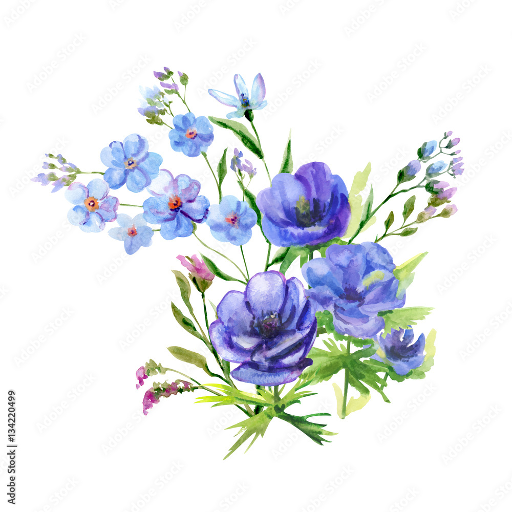 Bouquet Of Blue Flowers Anemone And Forget Me Not Stems And Leaves On White Background Hand Draw Watercolor Painting Botanical Illustration Vintage Stock Illustration Adobe Stock