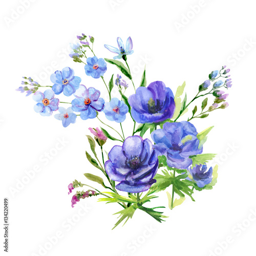 Bouquet Of Blue Flowers Anemone And Forget Me Not Stems And Leaves On White Background Hand Draw Watercolor Painting Botanical Illustration Vintage Stock Illustration Adobe Stock