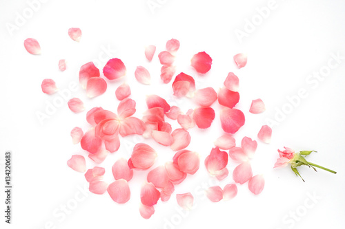 Pattern from petals of pink roses