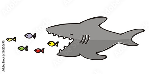 shark and fish  vector illustration