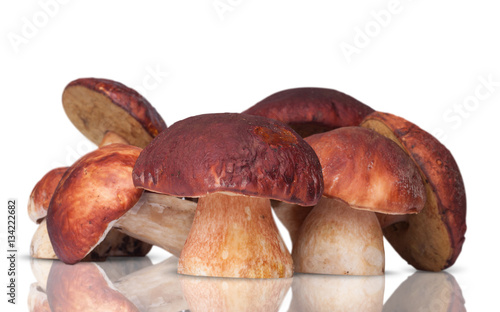 many white mushrooms isolated