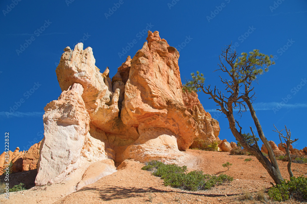 Fototapeta premium Bryce canyon