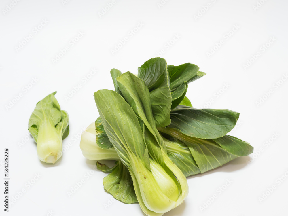 Green Mini Chinese Cabbage on white background Green Mini Chinese Cabbage on white background