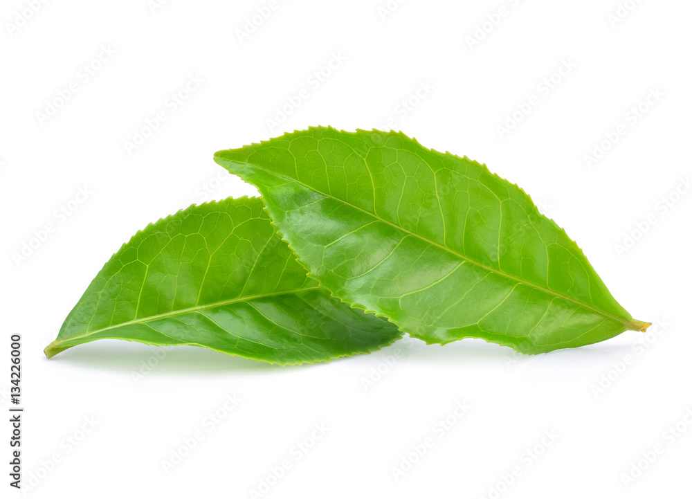green tea leaf isolated on white background green tea leaf isolated on white background