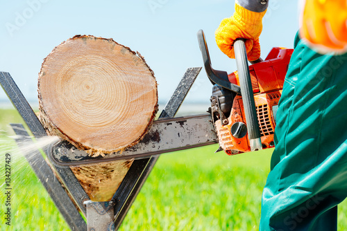 Kettensägen Ausbildung photo