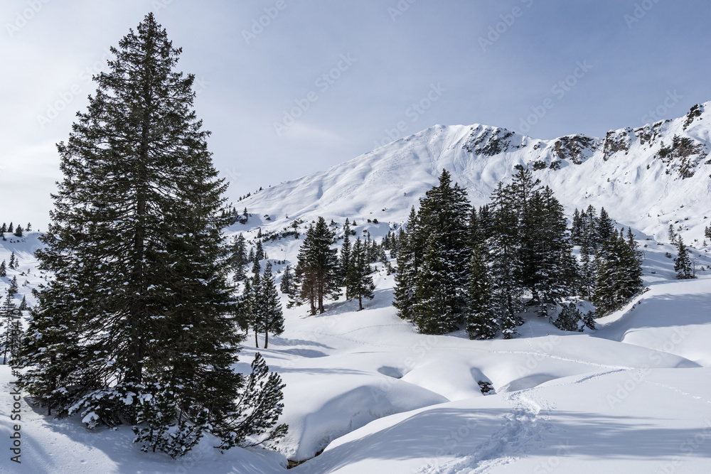 Winter in den Bergen