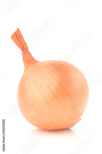 Onion