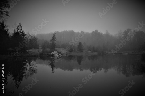 Foggy black & white landscape