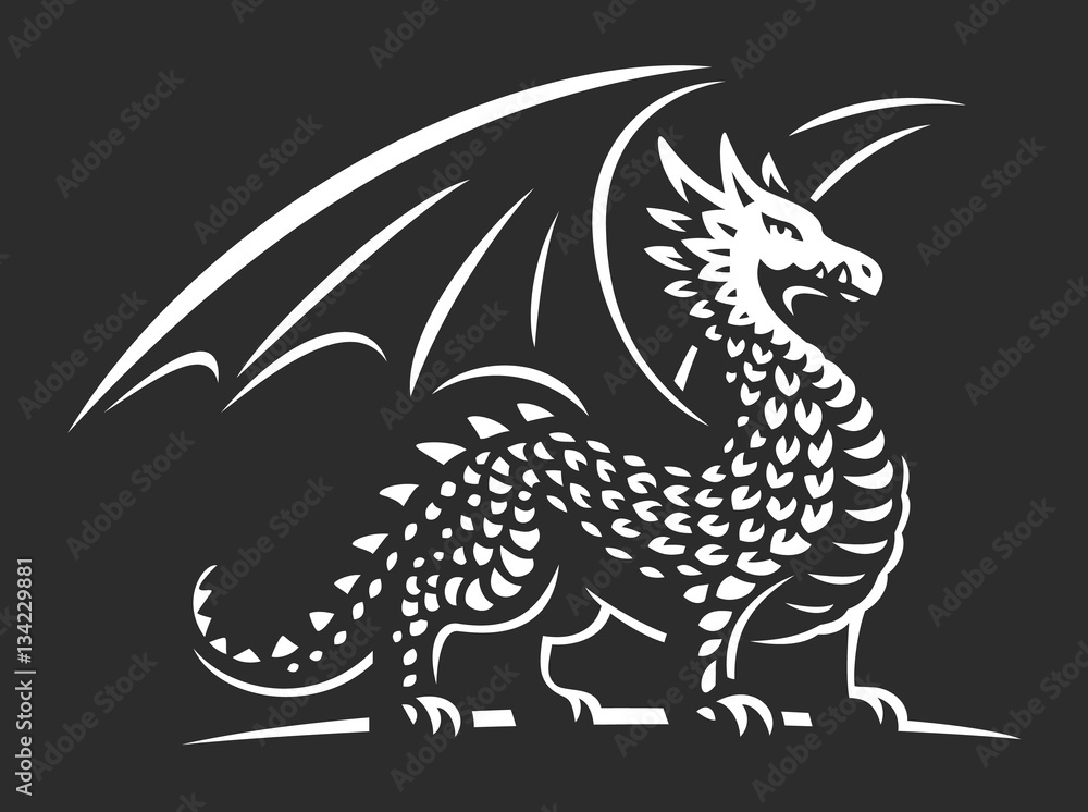 Fototapeta Dragon vector illustration, emblem on dark background