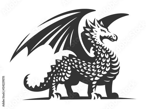 Dragon vector illustration, emblem on white background © sodesignby