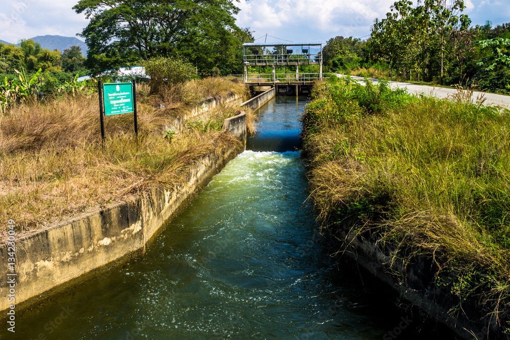 Fototapeta premium Irrigation canal