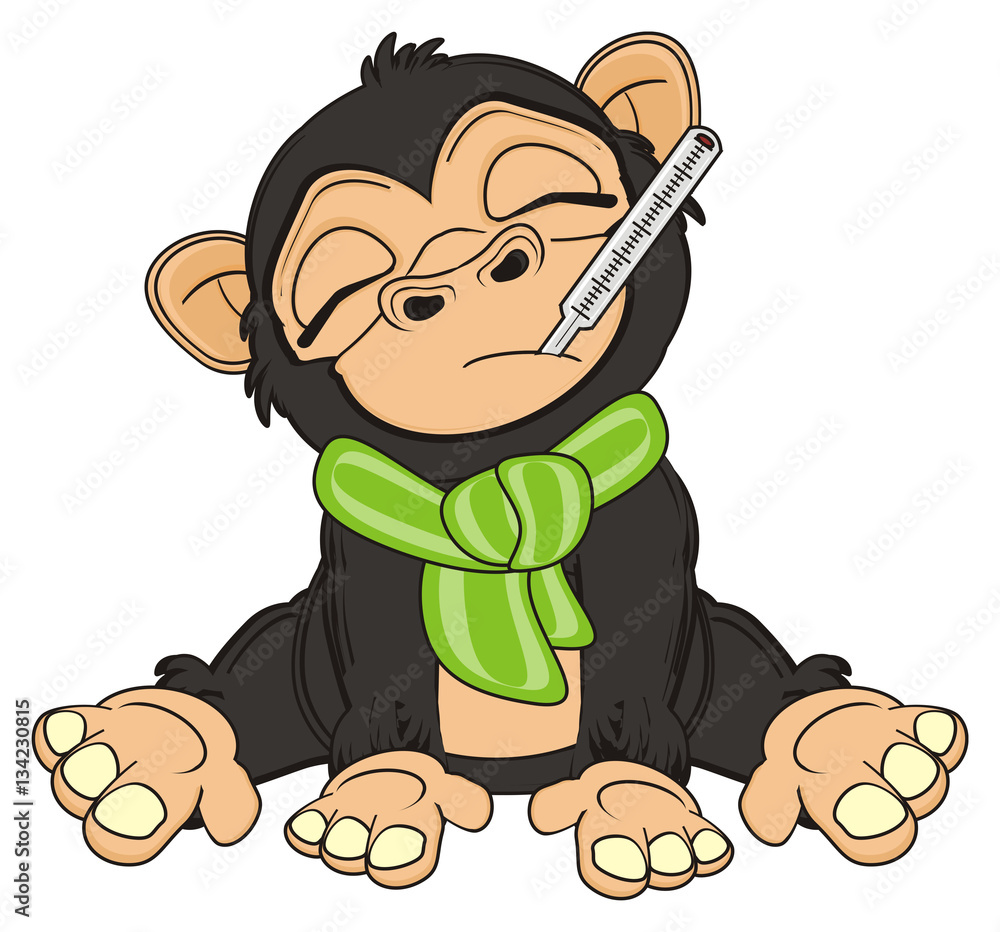 animal, cartoon, illustration, primate, monkey, chimpanzee, zoo, black,  beige, sick, sad, sit, flu Stock Illustration | Adobe Stock