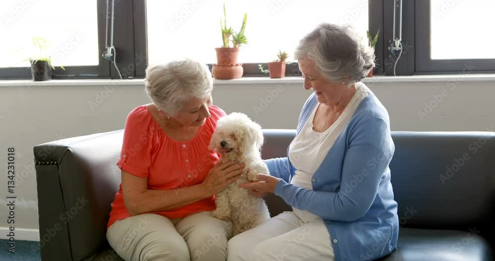 Senior women pampering dog Senior women pampering dog