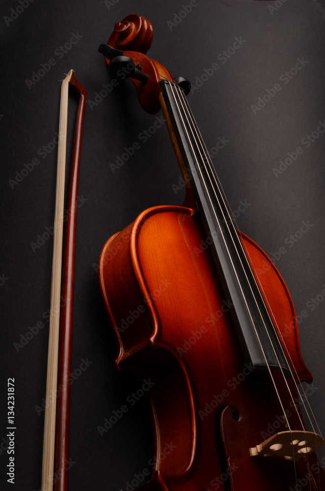 Fototapeta premium Violin
