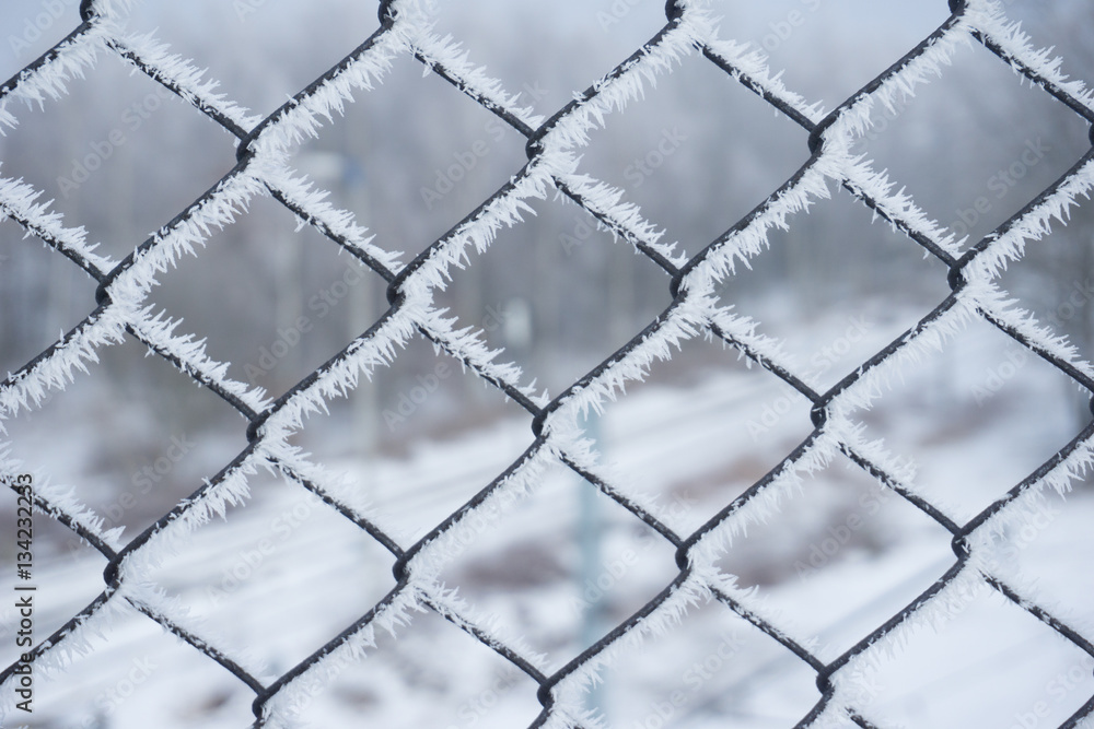 Fototapeta premium In winter