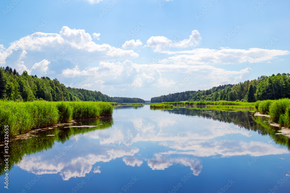 Forest river landscape with clouds reflection in the water.