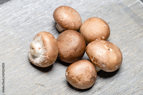 Champignon Braun auf grauem Hintergrund - Close up photo