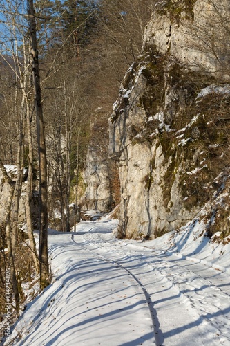 Wanderweg im Oberen Donautal bei Thiergarten photo