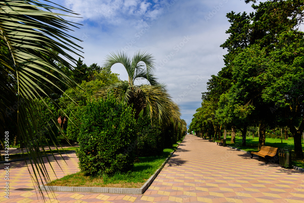 Fototapeta premium Beautiful garden landscape