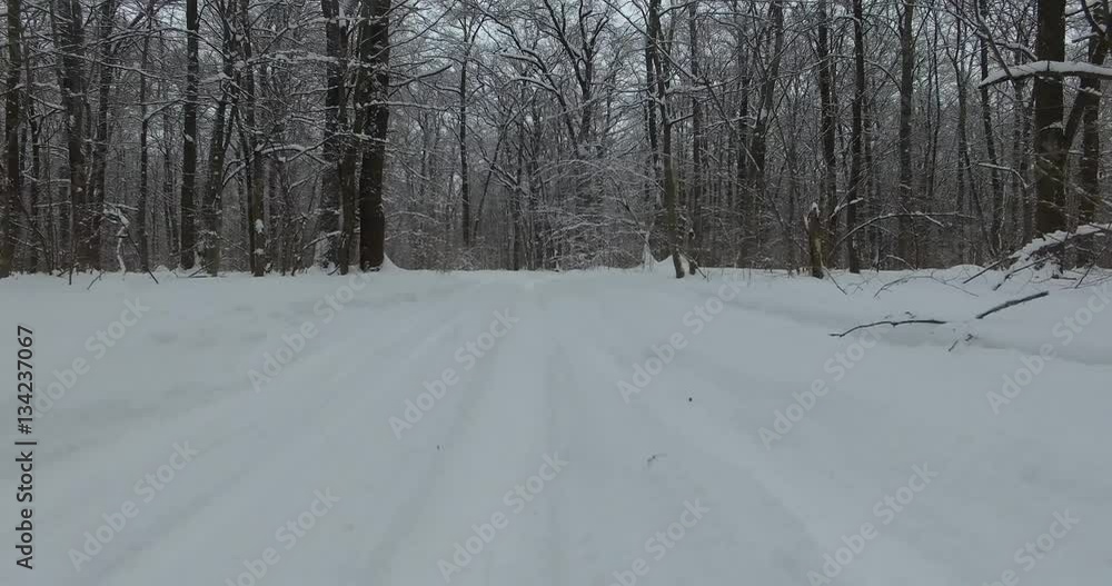 Low drone flight over road in snowy forest in winter Low drone flight over road in snowy forest in winter