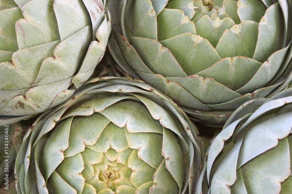 Fototapeta premium Artichokes