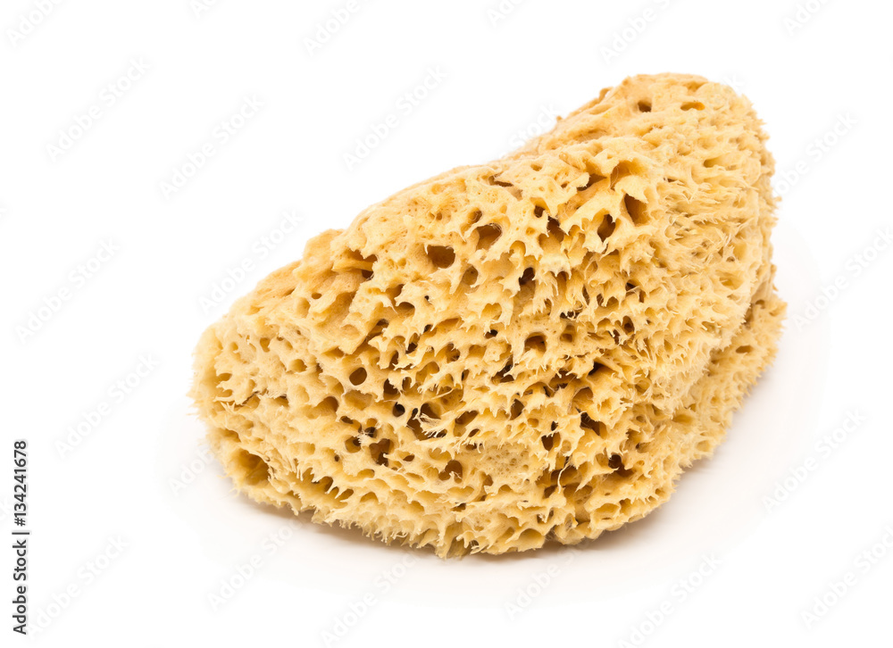 Natural sponge