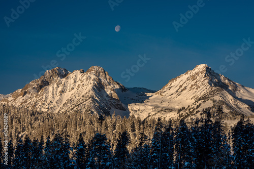 Rocky winter mountains with moon and forest