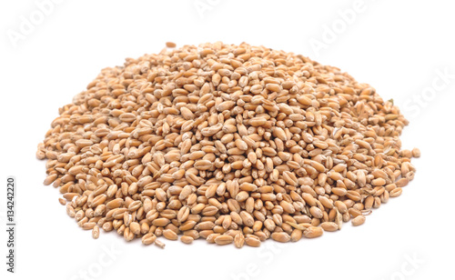 Grain wheat.