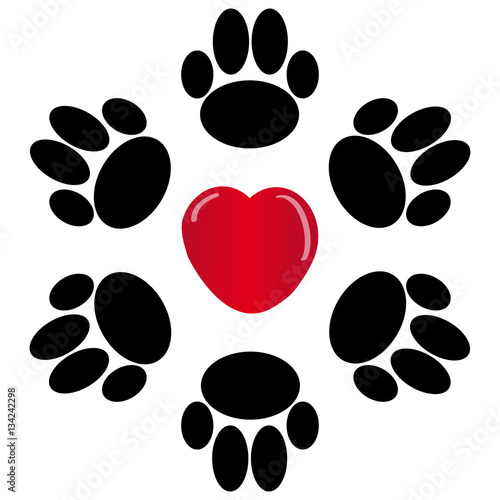 Paws with heart on white background