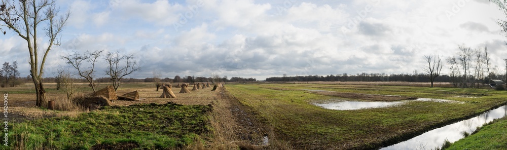 Panorama of grasslands and  reedlands near Dwarsgracht Giethoorn The Netherlands