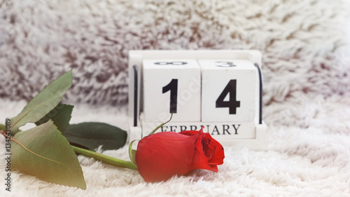 February 14 on wooden cube calendar, red rose on blur fur backgr