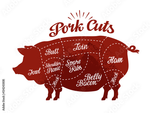 Butcher shop. Pork cuts. Vector illustration