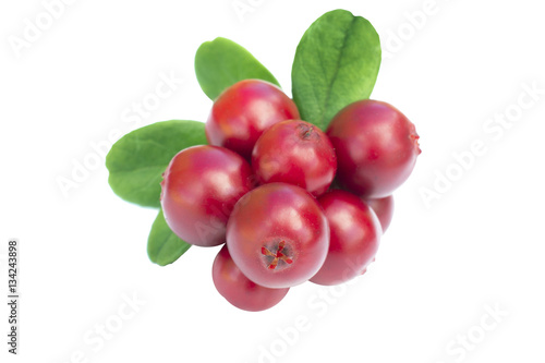 Cowberries - cranberries with leaves on the white background isolated