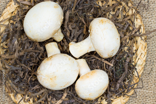Four mushroom in a basket