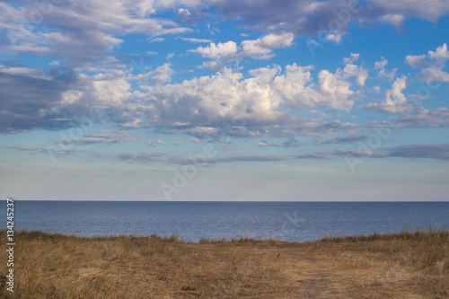 Wild beach landscape