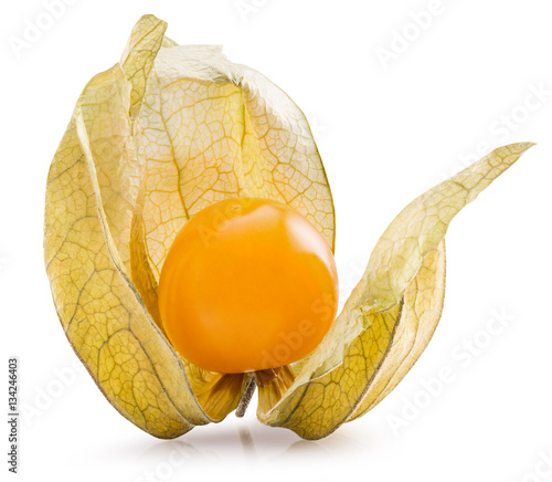Konstfotografi cape gooseberry isolated on the white background