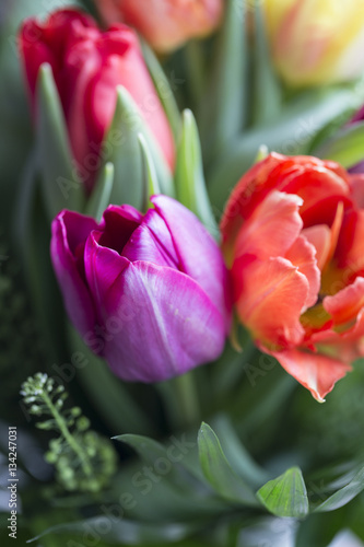 Strauss aus bunten Tulpen