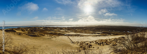 Parnidis dune (also known as The Lithuanian Sahara). Sunny winter day. Nida, Lithuania photo