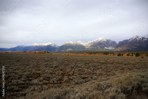 Grand Tetons with autumn golden aspens, photo