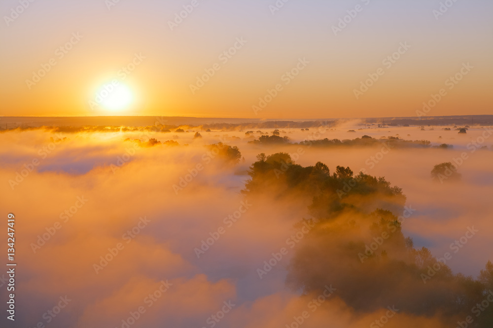Amazing sunrise over hills with trees covered by fog. Bright orange mood