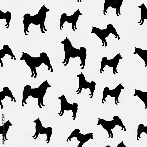 illustration of  black dogs silhouettes photo