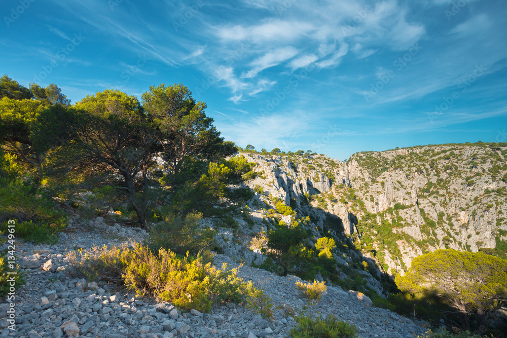 Beautiful nature of Calanques on the azure coast of France. High