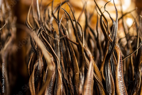 Close up of dried eel on Bukittinggi market photo